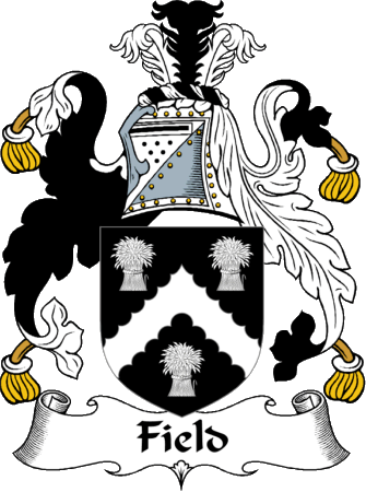 Field Clan Coat of Arms