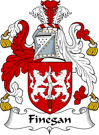 Finegan Clan Coat of Arms