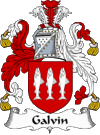 Galvin Coat of Arms